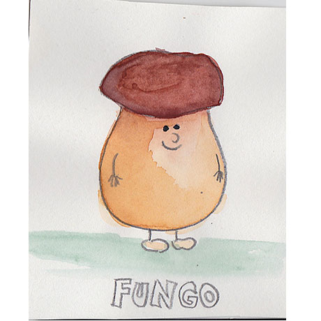 Fungo, der sehr kleine Glückspilz